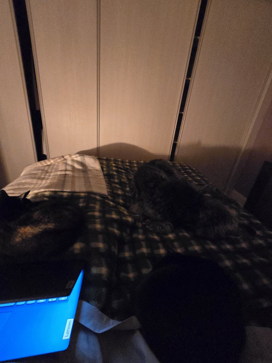 Locked_Muscle's tweet image. Does this class as bondage as I currently can't move.