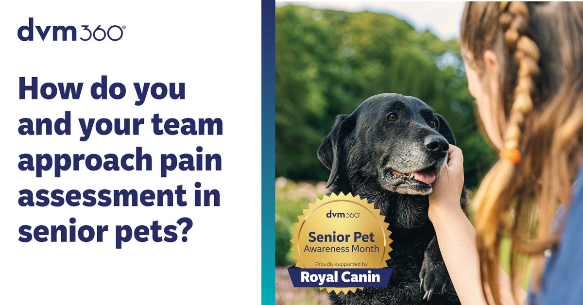 dvm360's tweet image. Senior pets benefit from biannual wellness exams, yet many still come in only once a year. How do you motivate pet owners to stay on schedule? #Fetchdvm360 #VetMed #PetWellness @RoyalCanin
