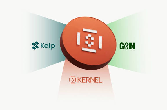 MunirShazaib's tweet image. KernelDAO is reshaping DeFi with innovative solutions. From Kernel BNB restaking and Kelp liquid ETH restaking to Gain’s automated vaults, the ecosystem delivers efficiency and yield like no other. KERNEL is one to watch. #KernelDAO #Restaking #DeFi