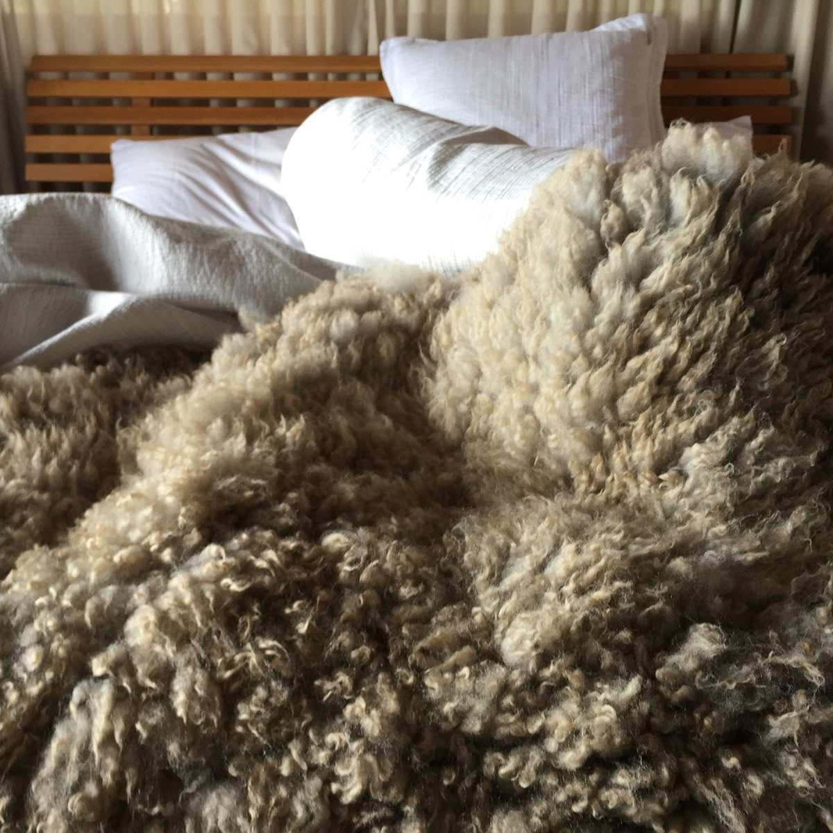 vanilleantiquex's tweet image. 