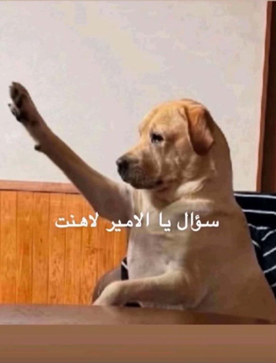 ciiur1's tweet image. 