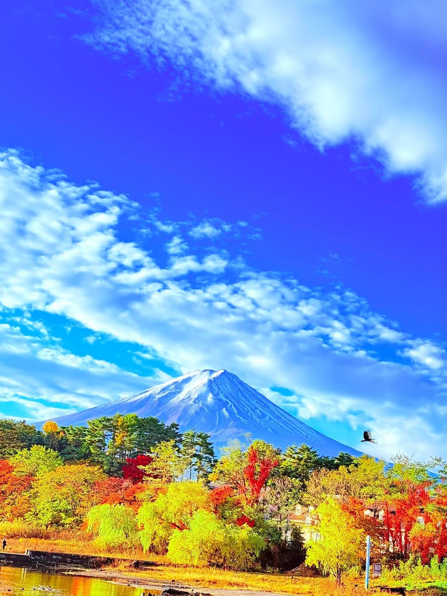 皆さん、おはようございます😺
今日も✨よろしくお願いします
こちらは☁️空です
良い一日をお過ごし下さい‼️