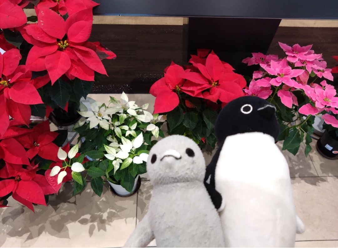 ジャスミン🐧🐤⛸️🎶 (@mp_jasmine) / Posts / X