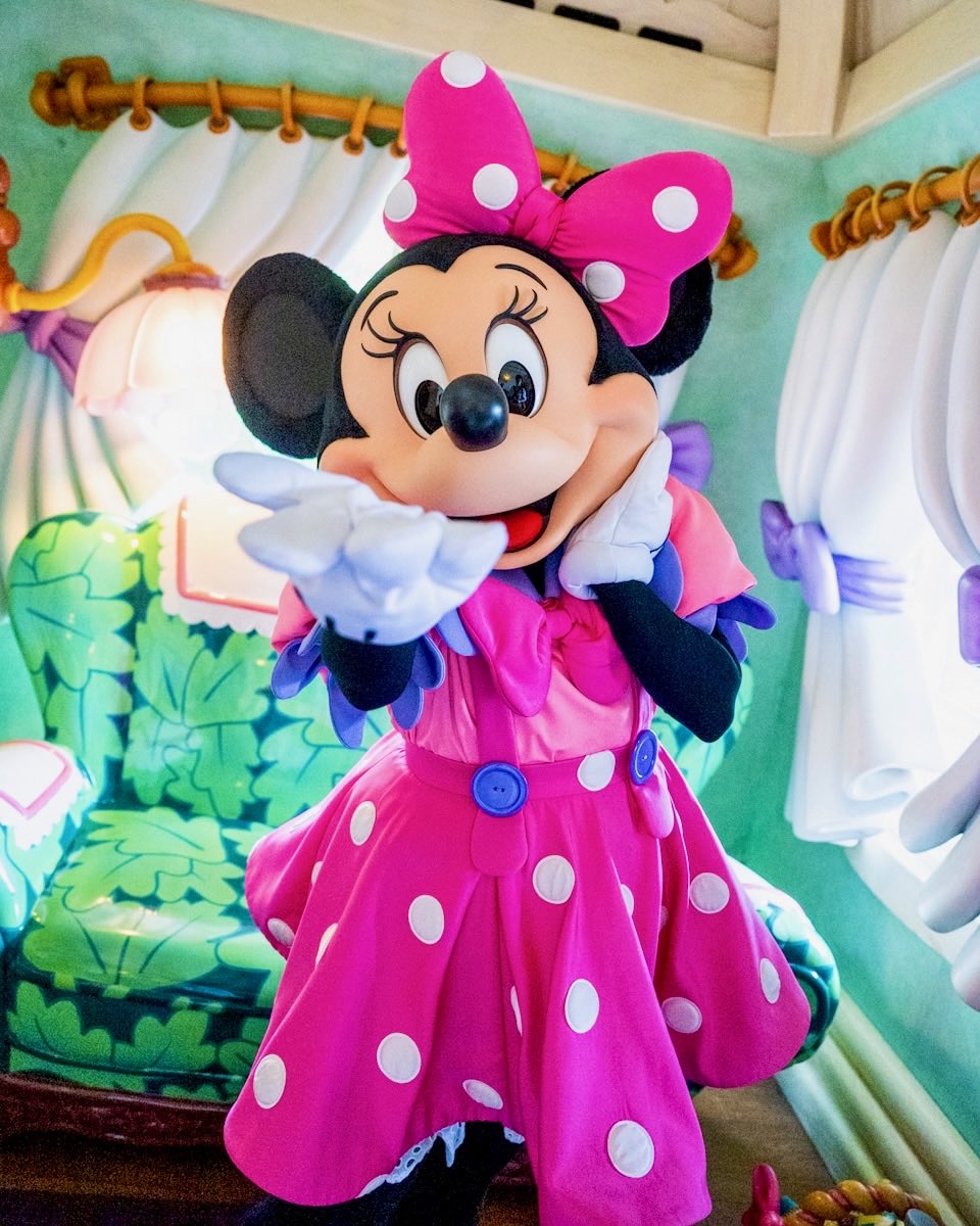 1928年11月18日『蒸気船ウィリー』でスクリーンデビューしたミッキーと