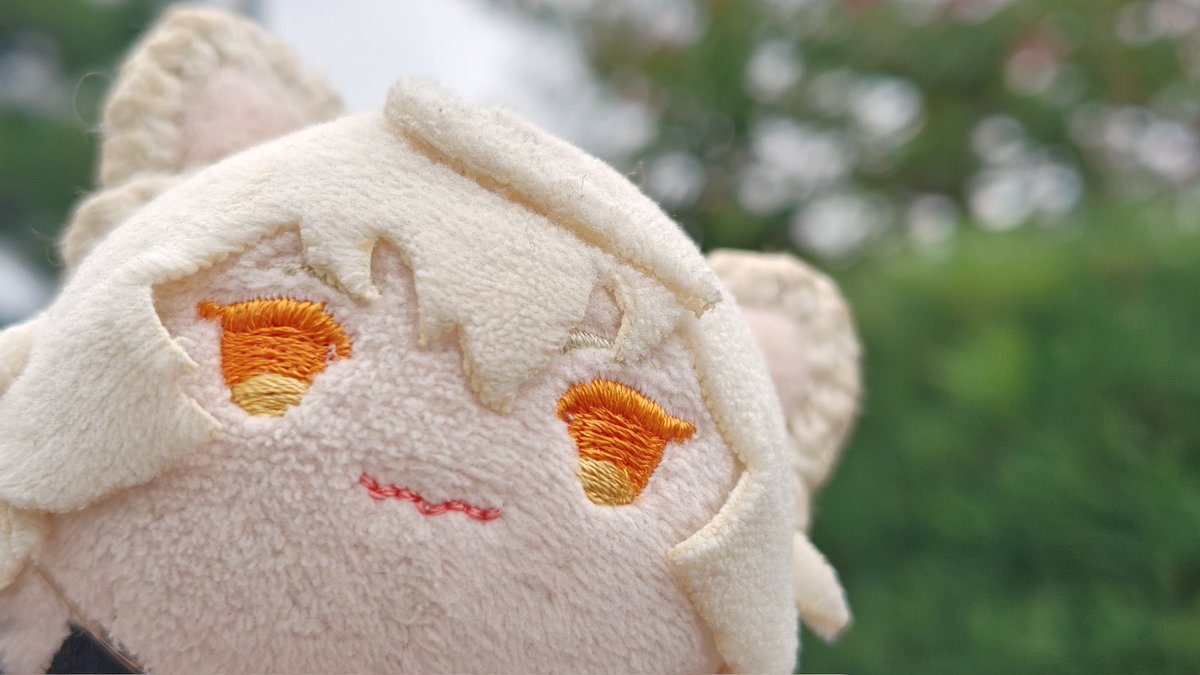 yakiguri03's tweet image. かようび くもりだよ

きょうはゆきみだいふくのひ あたたかいおへやでたべるあいすはかくべつだよね
おとうとがゆきみだいふくのことを「あにじゃ」ってよぶんだけど なんどいってもなおらないんだよね あのこときどきしつれい
かなしくなってきたからだっつたべるよ…これあるじの？もらうね🦁