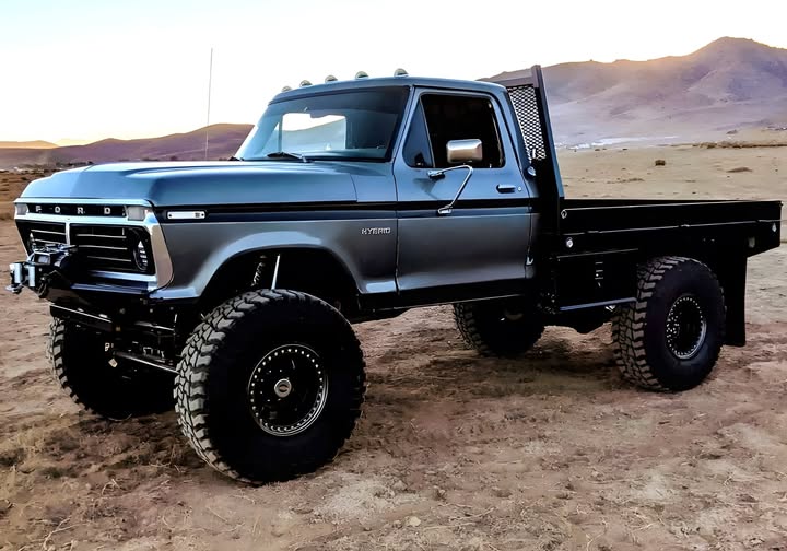 Keep your Cybertruck. I'm going to drive one of these. 7.3 idi diesel with no electronics.