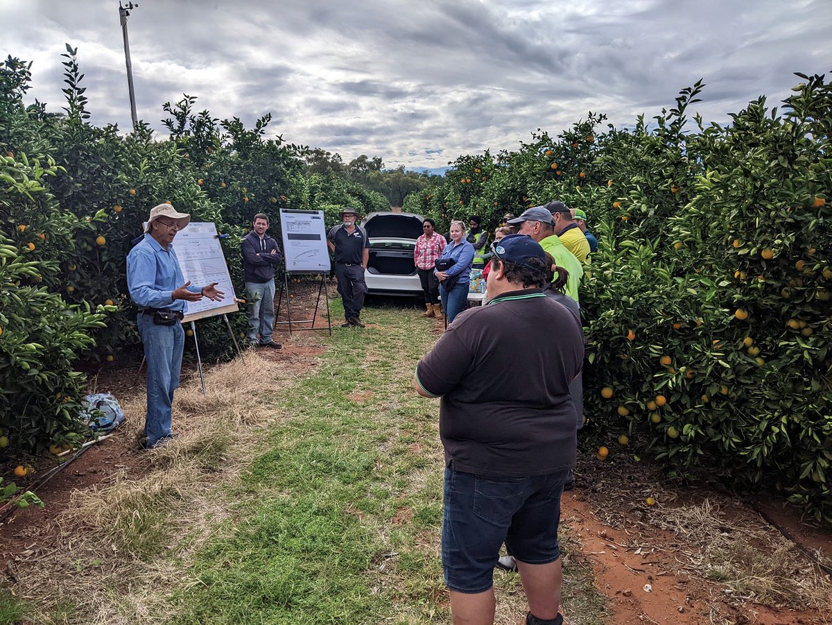 IRECNSW's tweet photo. IREC is successful in the Australian Government funded Climate-Smart Agriculture Program: Small Grants Round 1 under the Natural Heritage Trust. Thankyou @DAFFgov for supporting our #NaturalHeritageTrust project.
#climate #SustainableAgriculture #AgClimate #australianagriculture https://t.co/m0NSFurtKb