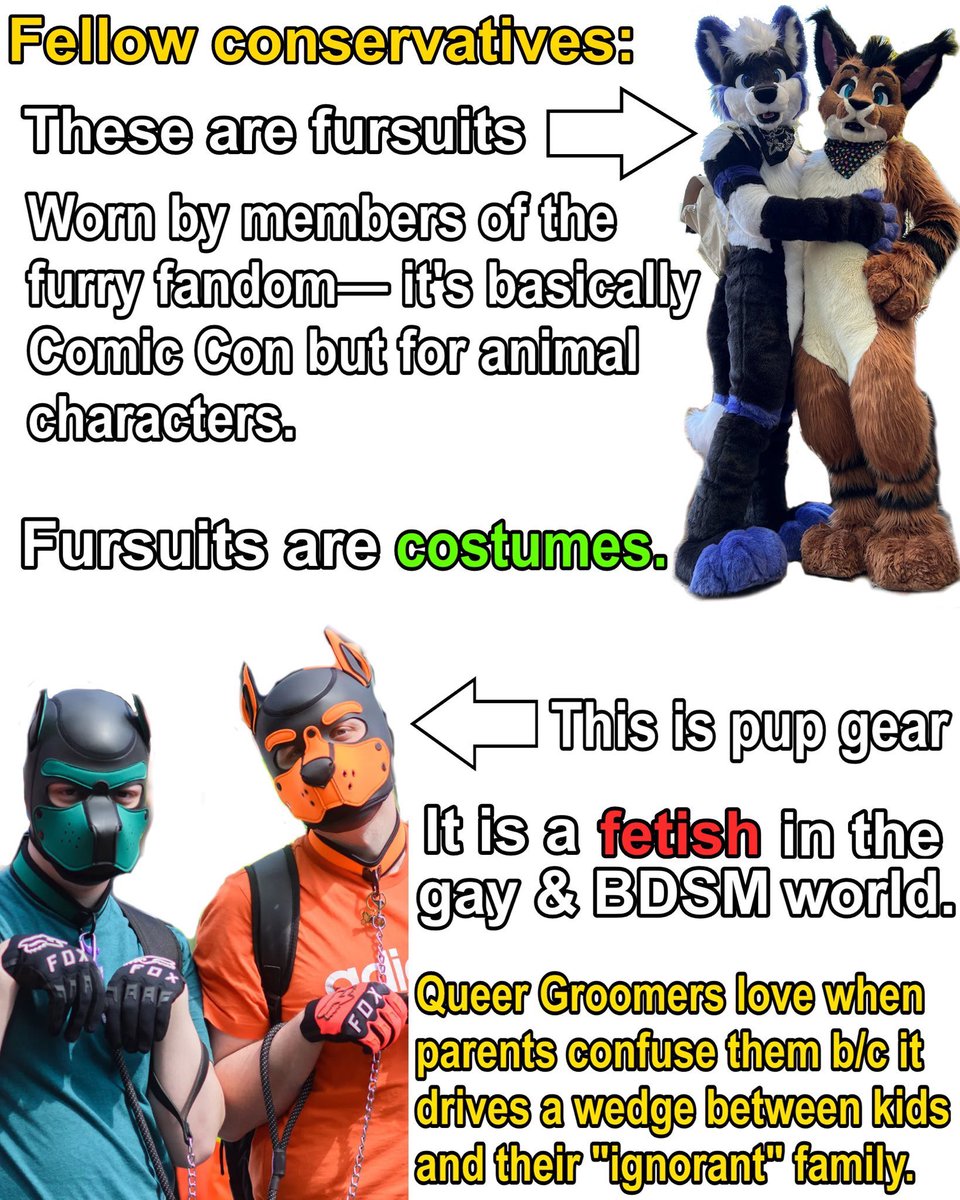 LibsofFurry's tweet image. 
