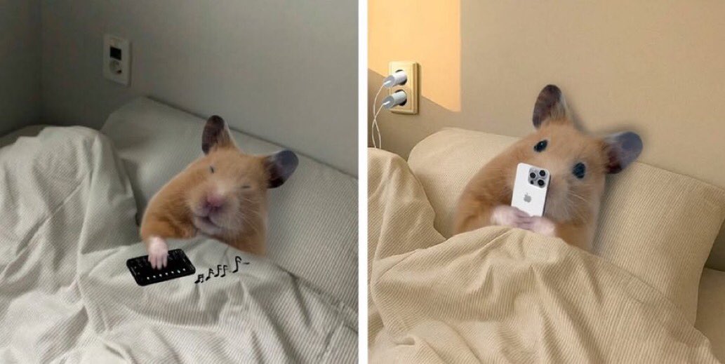 7:00 am en         |     7:00 am en 
Día laboral                  Día libre