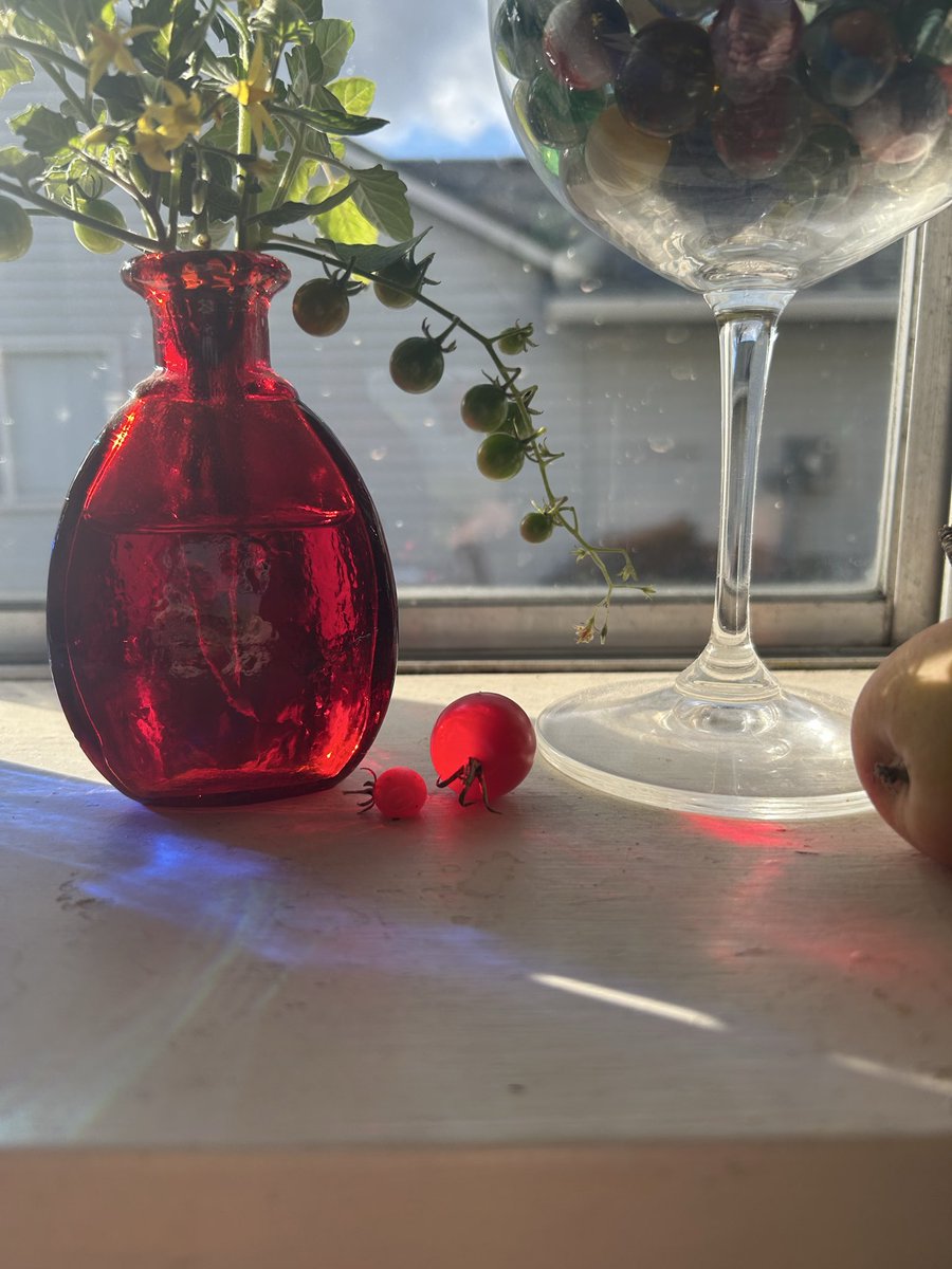 camera cannot even do it justice but this tiny ripe tomato with red light coming through the glass vase onto it is at unreal levels of redness rn
