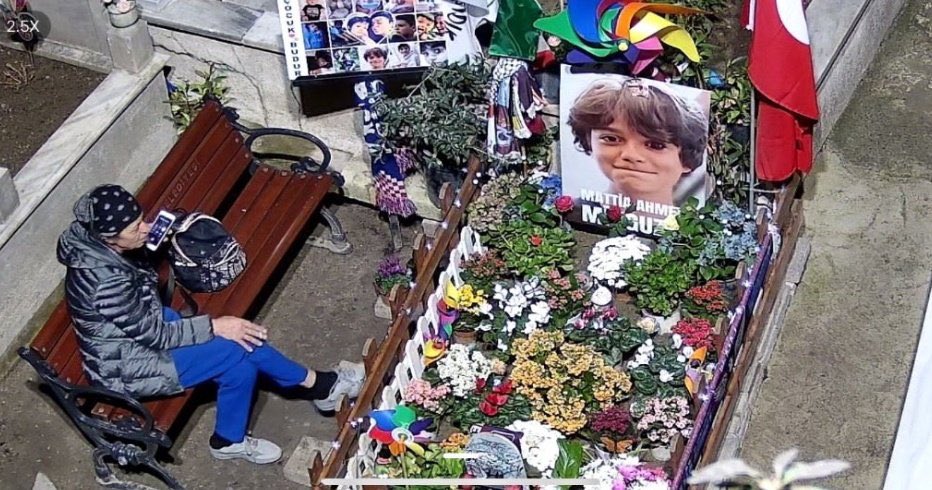 BA Mag.a ZShira 🛹 tweet media