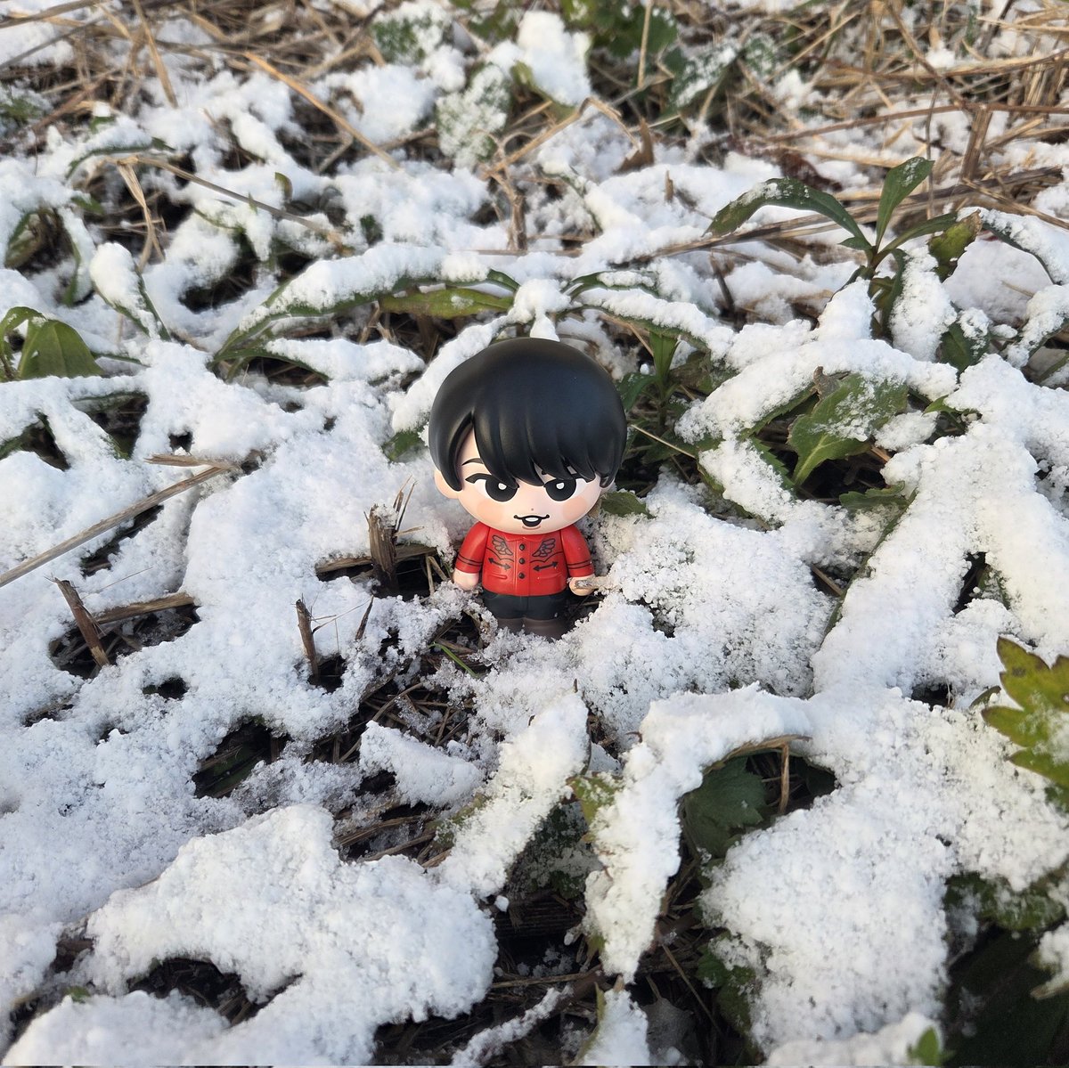 舘様、雪でございます⛄️ ソフビ使い勝手が良すぎます🌹 #宮舘涼太