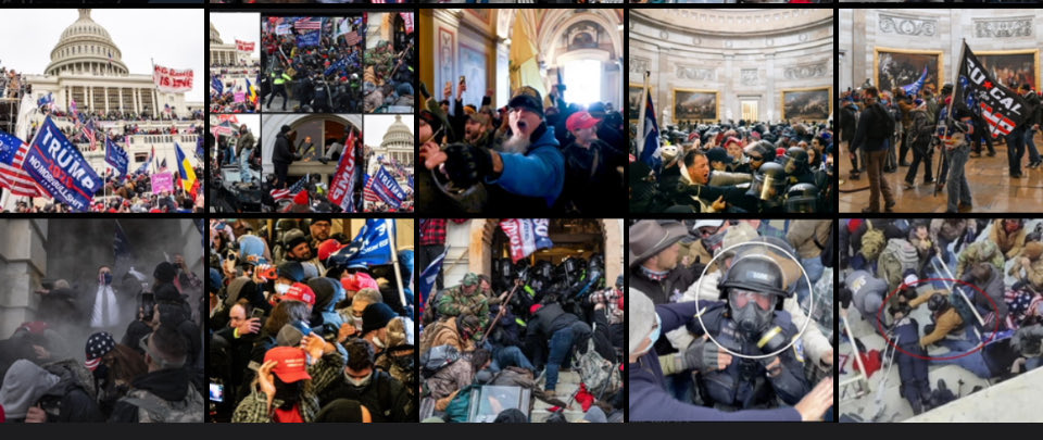 Donna Beers tweet media