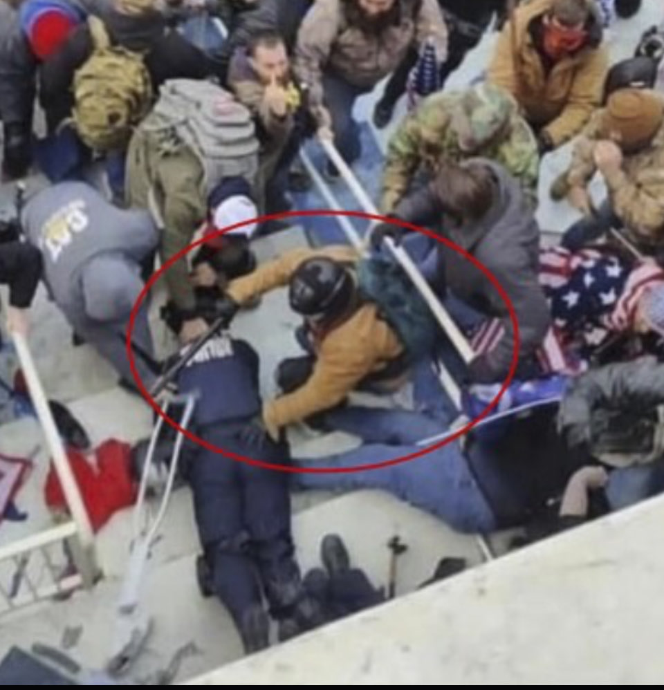 Donna Beers tweet media