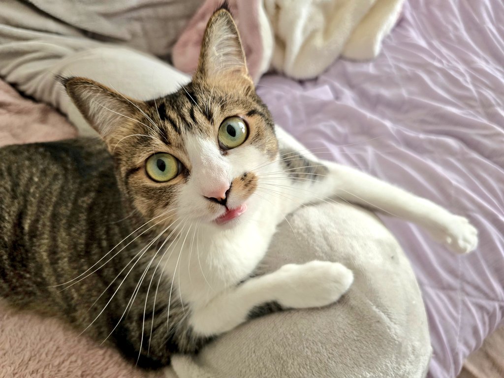 ★まりも★ まりもちゃん！と🧌 (@marimo2021915) / Posts / X