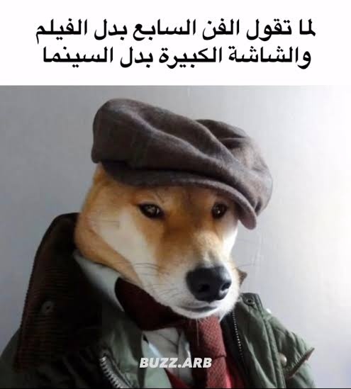 برتغالي tweet media