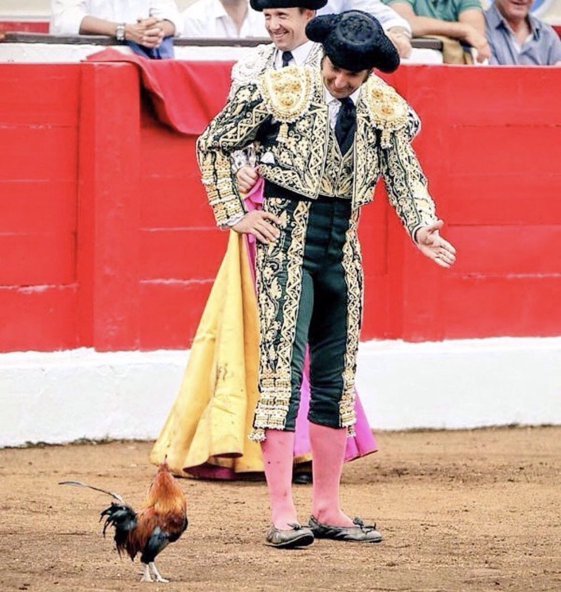eltoreosecreto's tweet photo. El gallo siempre será el gallo. https://t.co/jePQ9WOd6s