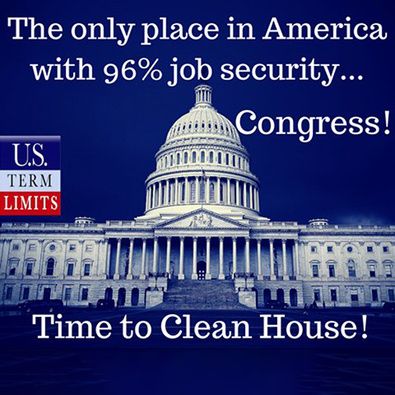 USTermLimits's tweet photo. The states are taking matters into their own hands. Learn how we will put term limits on Congress.