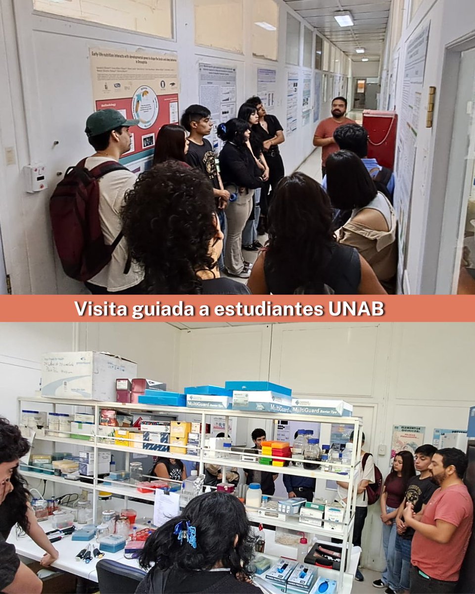 Research Ring in Pest Insects and Climate Change tweet media