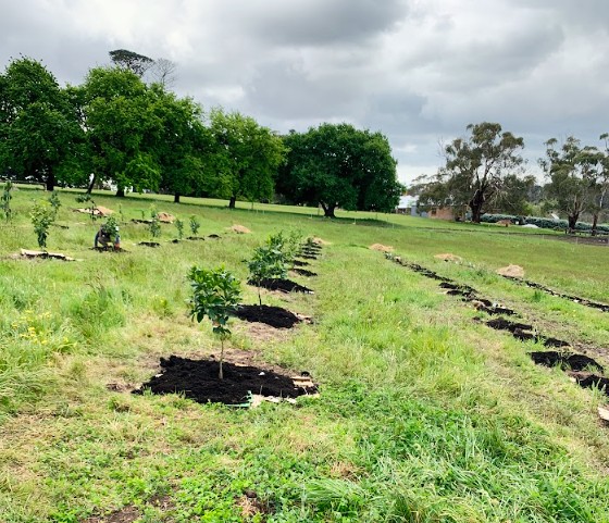 Food_ForChange's tweet photo. Healthy soil means healthy food. 
Help us care for the ground that feeds us all: https://t.co/WLWLk9oBeY 

#FoodForChange #Grow #Rescue #Support #GrowForGood #FightHunger #FoodSecurity #Community #Food #Charity #NonprofitAustralia #Australia https://t.co/SqniECd1Ul
