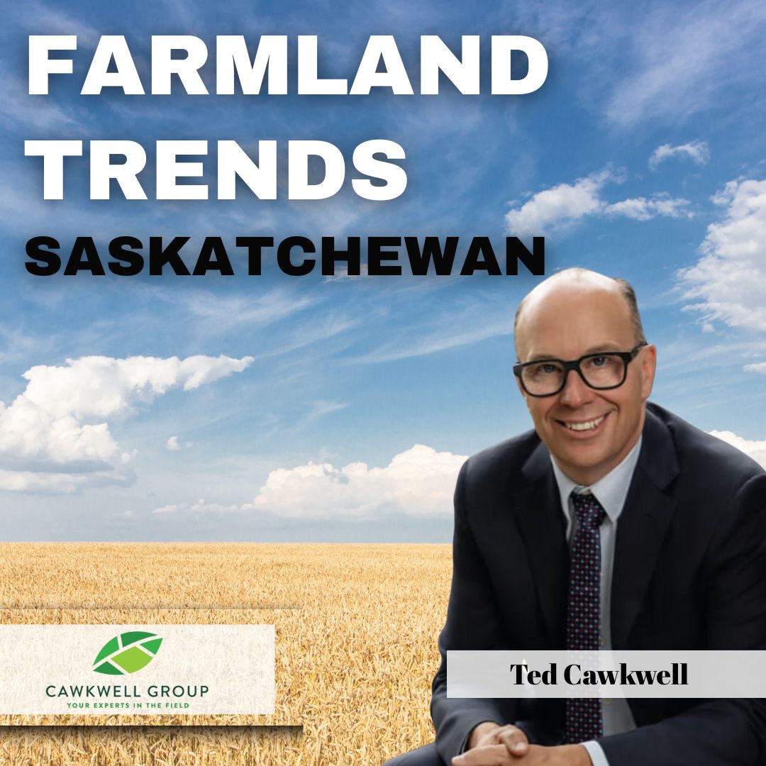 What’s really happening in Saskatchewan’s farmland market?
In this episode of #TheImpactFarmingShow, we dive deep with Ag Specialist, Ted Cawkell, into the trends, prices, and opportunities for farmers looking to buy or sell land.
🎧Tune In: farmmarketer.com/Resources/Reso…

<a href="/TracyMBrunet/">Tracy Brunet</a>