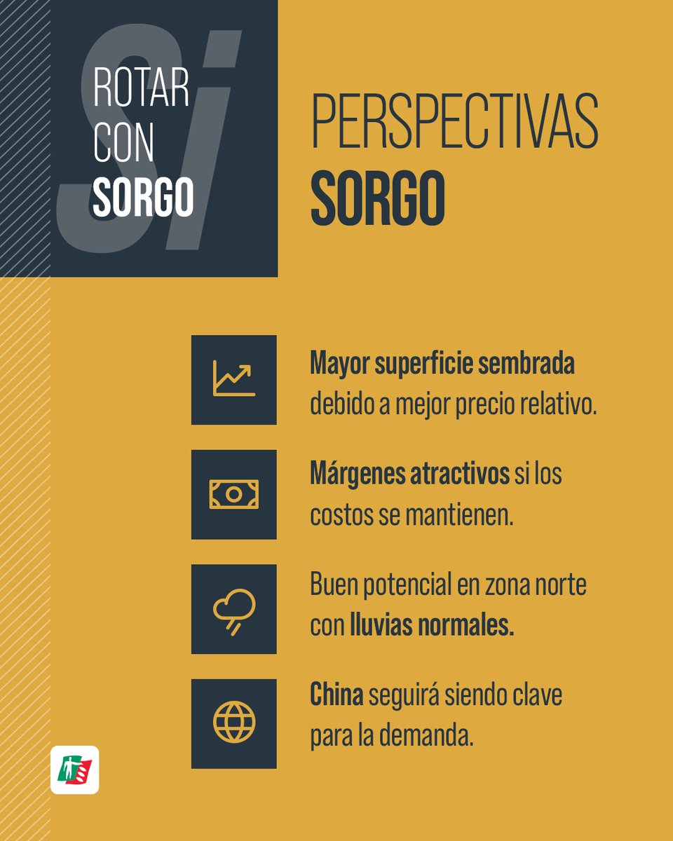ragtsemillas_ar's tweet image. ROTAR CON #SORGO: 
Una decisión agronómica con impacto económico. 🔄 🌾

Obtené:
✅ Beneficios técnicos concretos
✅ Ventajas de manejo
✅ Perspectiva comercial:
· Expectativa de aumentos de #exportación del 34% 

Apostar al sorgo no es solo agronomía, es estrategia comercial.💰