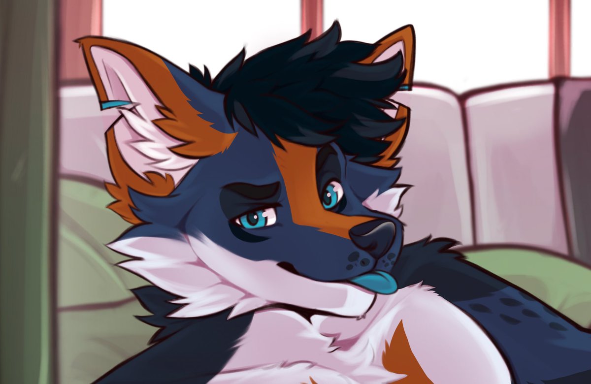 Numis/Yōko Fox 🔜 FWA (@numis_yote) on Twitter photo 