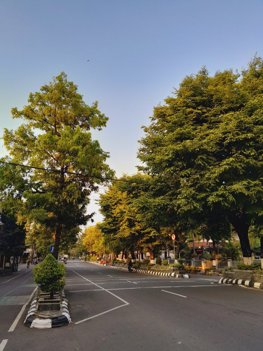 🍉 pujarani 🍉 tweet media