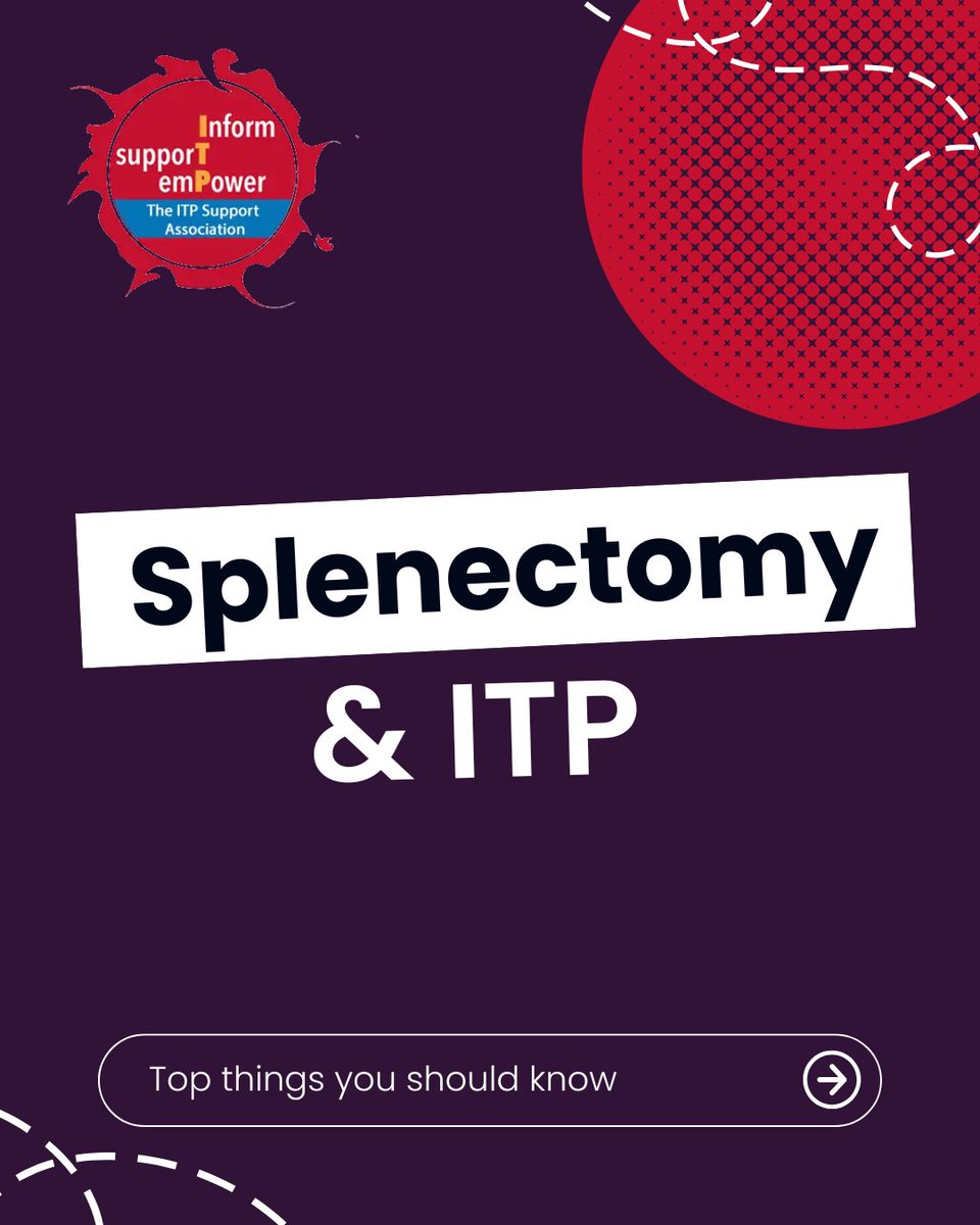 ITPSupportAssoc's tweet image. Splenectomy and ITP: Understanding the Procedure🩸

For some patients with chronic, severe ITP, a splenectomy (surgical removal of the spleen) remains a valid but thankfully, rarely used treatment option. But why remove the spleen?

In ITP, the immune system mistakenly destroys…