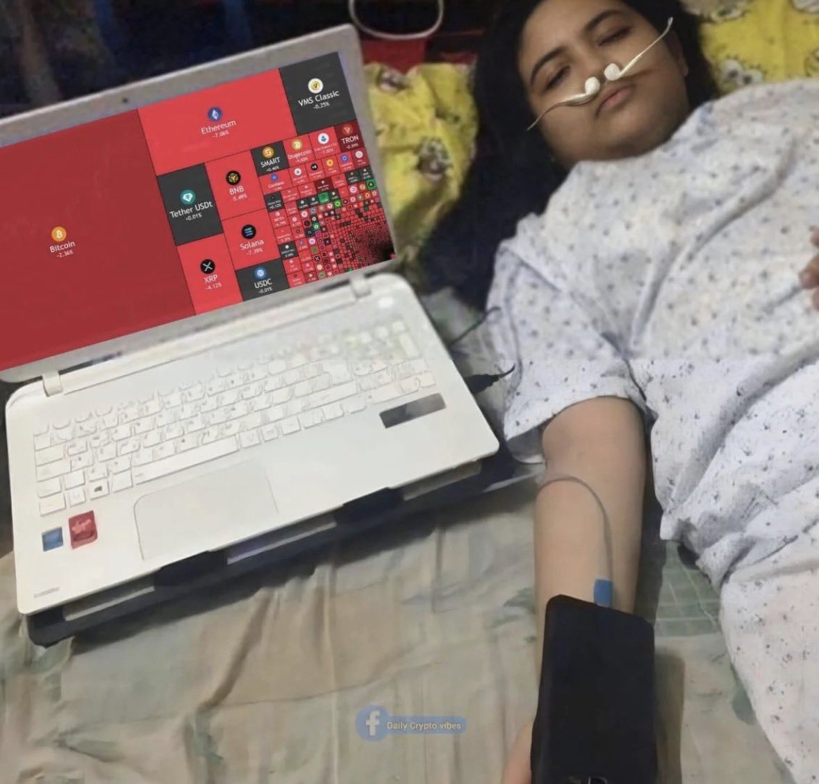 Layah Heilpern tweet media