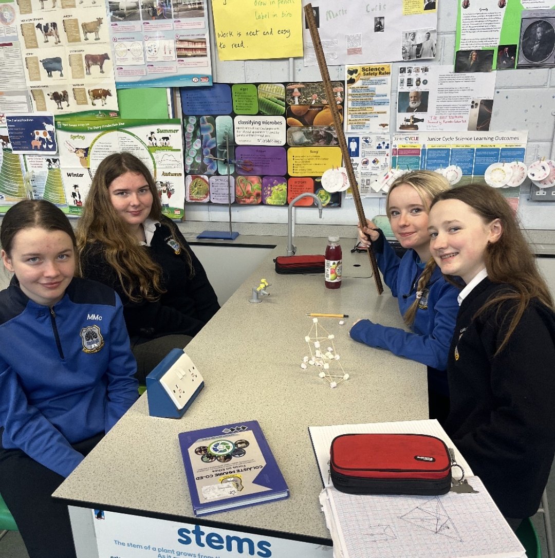 colmhuirecoed's tweet image. Happy #ScienceWeek from @colmhuirecoed 3rd Year science classes! 🧑‍🔬 All junior groups took part in Science challenges, with our 3rd Years testing their efficiency in the marshmallow tower challenge🗼 #successthrougheffort #scienceweek2025 #fun  @TipperaryETB @ScienceWeek