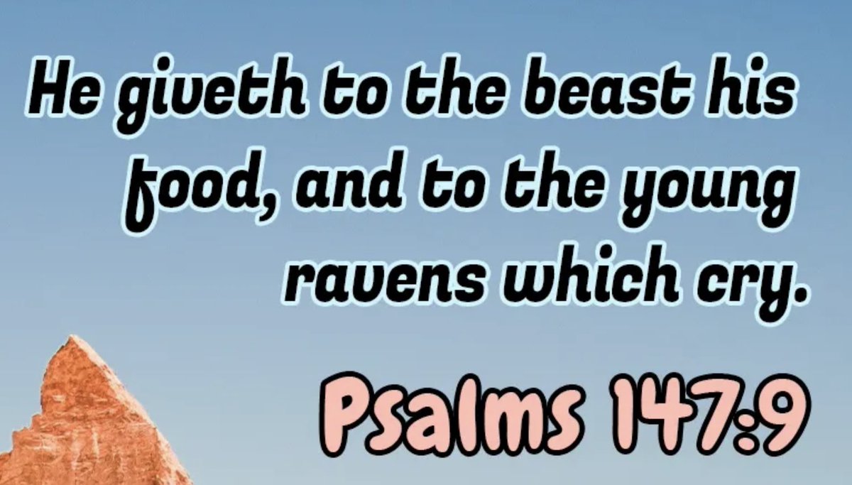 eepdllc's tweet image. God tends to all of his creation. We are the most important of his creations. He wants us to place our faith in him, &amp;amp;. not be anxious over things he knows we need. If he tends to the creatures of this world, how much more so us? Invite God into your lives, &amp;amp; have faith in him