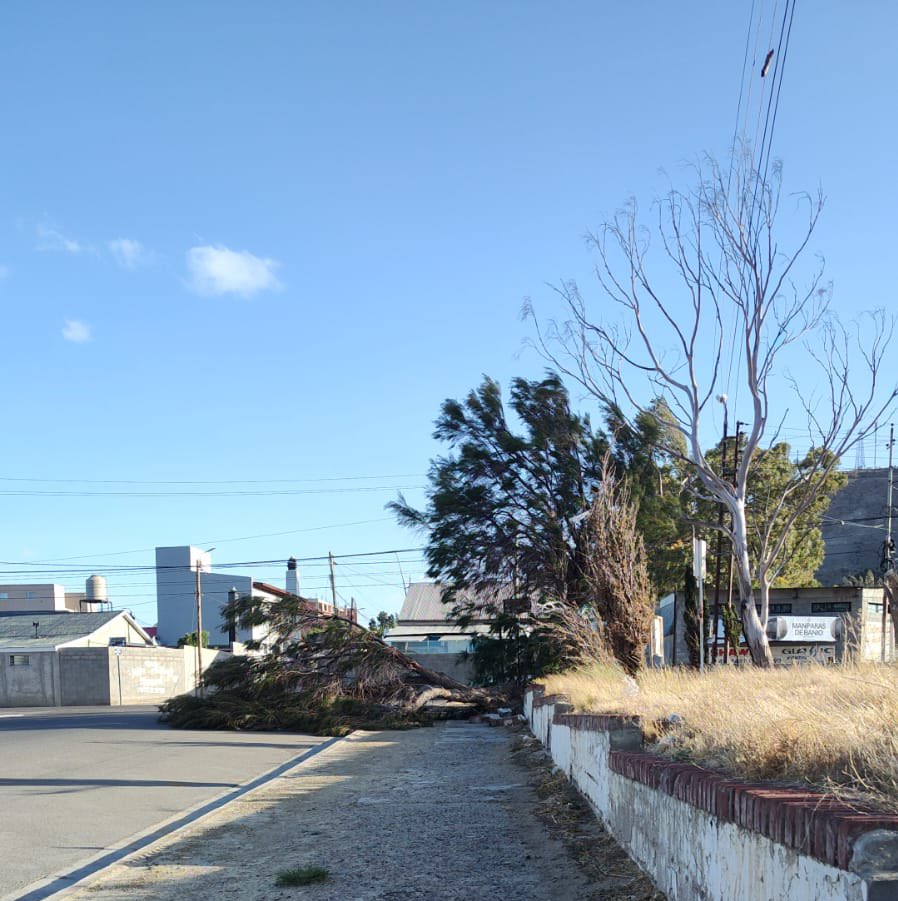 verodelaguinda's tweet photo. #AlertaRoja #comodoro #Km3 caída de árboles https://t.co/bj6GYGaoPv