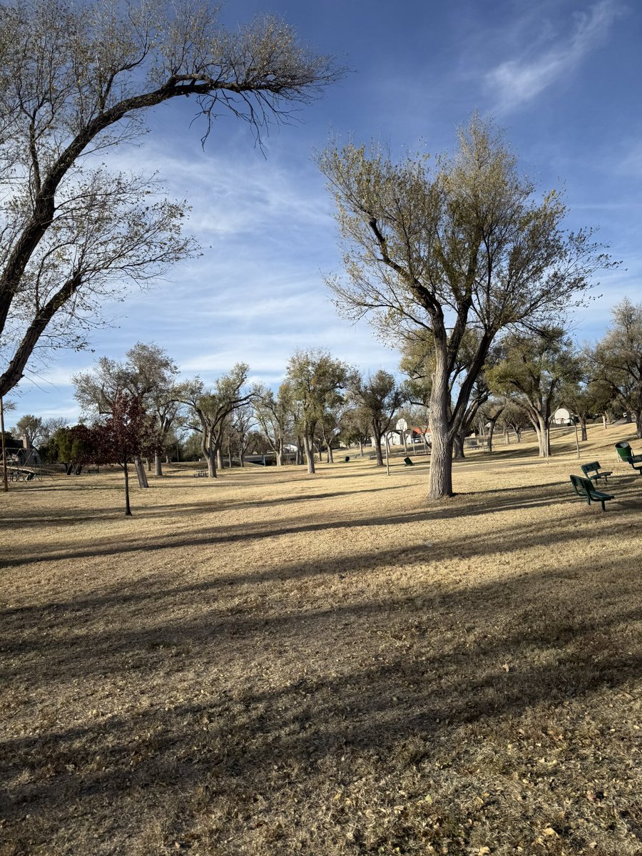 Perfect fall day to play some B-Ball at the park.