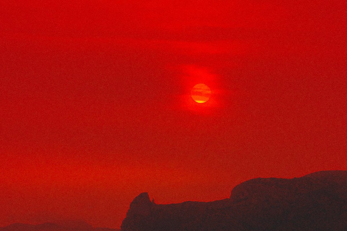 Max Pillet tweet media