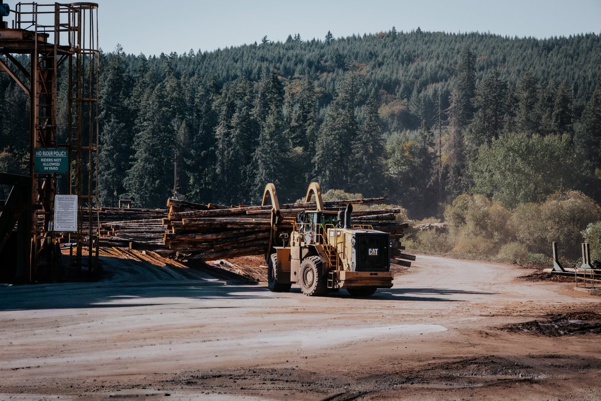 PetersonCat's tweet photo. From forest to future — 988K moving sustainably 🌲 ☀️
#PetersonCat #Foresty #CatEquipment #HeavyMachinery #HeavyEquipment #LetsDoTheWork #CatYellow #OregonConstruction #CaliforniaConstruction https://t.co/eMfjxtcYci