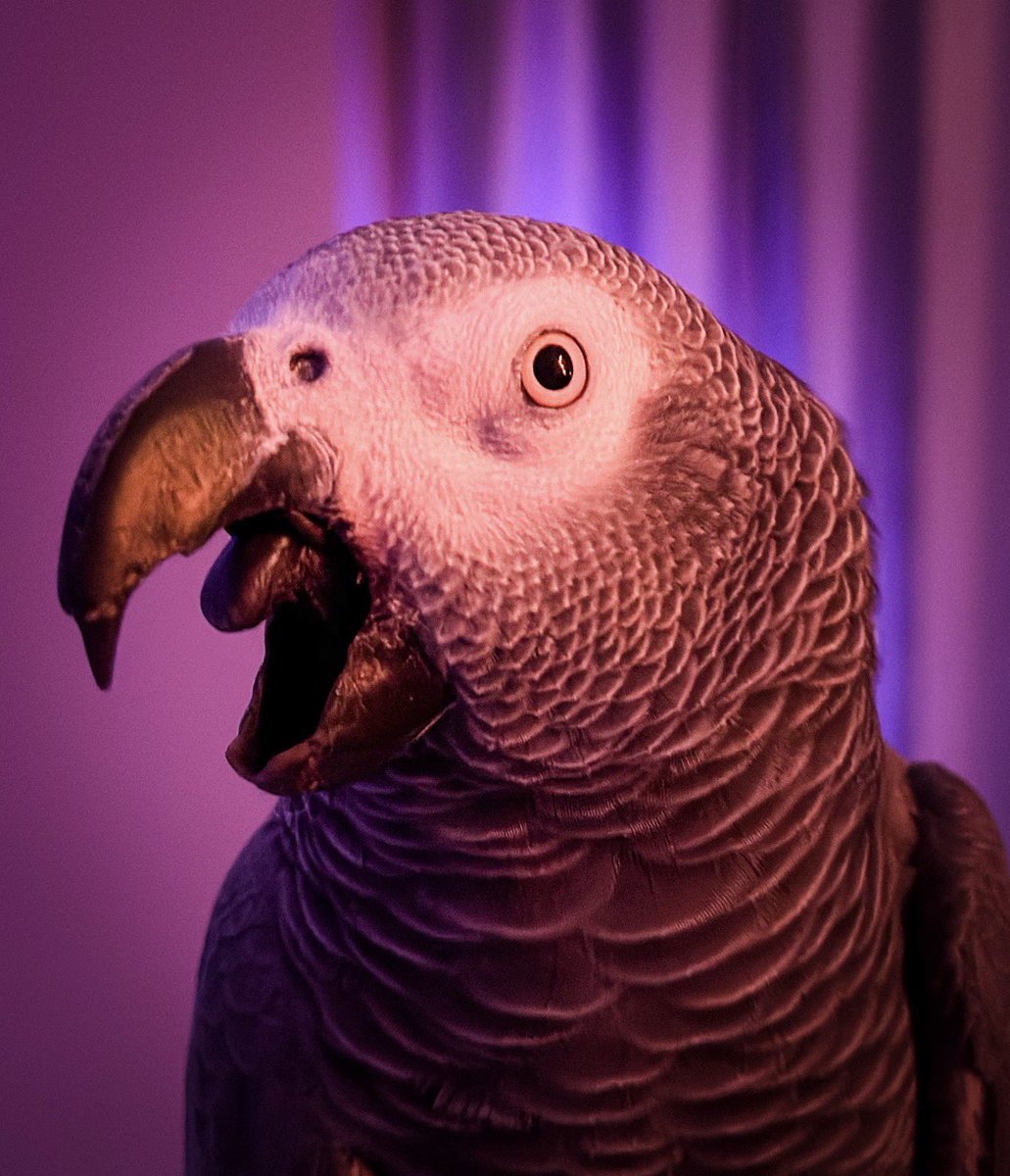 DrLectersMask's tweet image. One last thing. Don’t forget this gorgeous face.