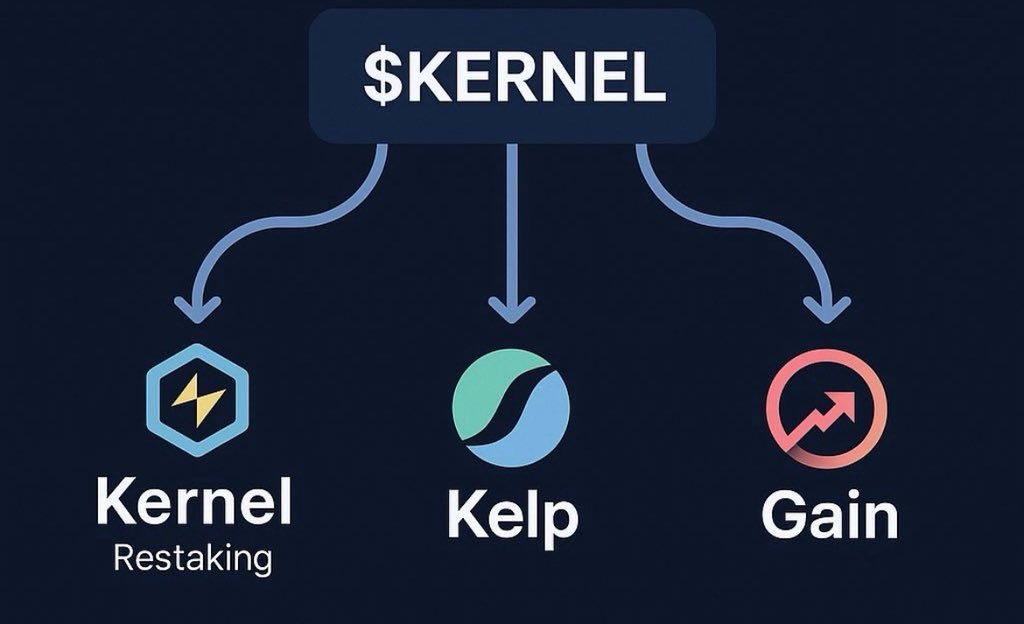 EDMOND_OFC's tweet image. 1/The $KERNEL token sits at the center of the entire KernelDAO ecosystem. It connects Kelp, Kernel Restaking, and Gain into one coordinated system powered by shared governance. 🧵
It sets the direction for how the whole ecosystem grows.