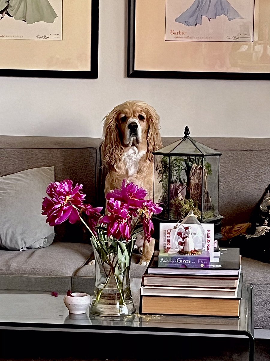 Shaun Proulx Show tweet media