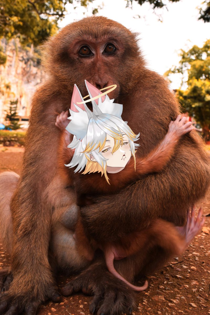 🔴: “Sends this image”
💫: Monkey?
🔴: Yeah, to prove smthng
💫: What you trying to prove?
🔴: …