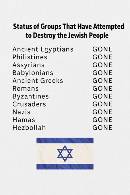 Vivid.🇮🇱 tweet media