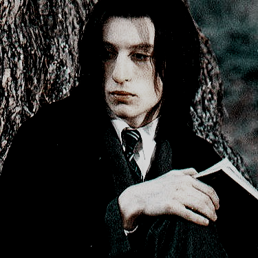 𝕾𝒆𝒗𝒆𝒓𝒖𝒔 𝕾𝒏𝒂𝒑𝒆 tweet media