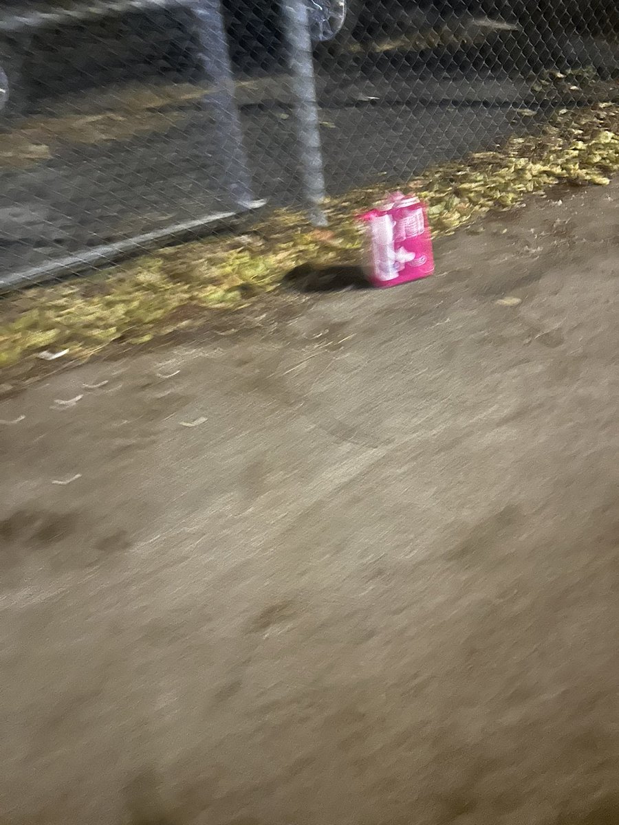 trashndgarbage's tweet image. Pads