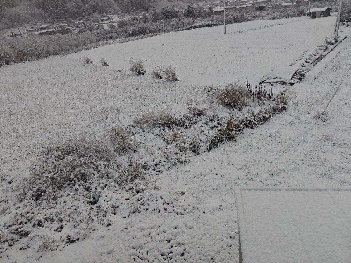 Post by パチュリー厨 on X: 今年初雪観測🥶