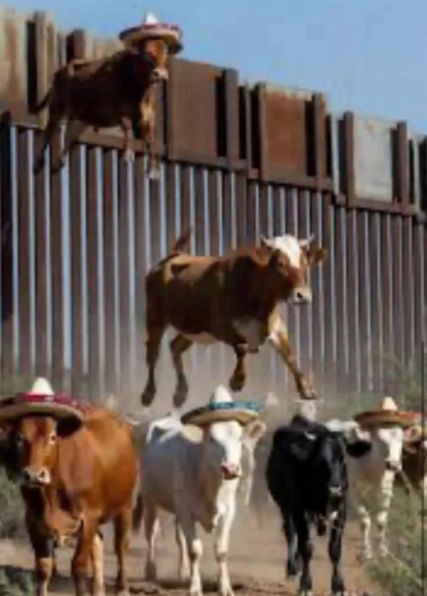 Current situation at the border according to Scott Bessent.