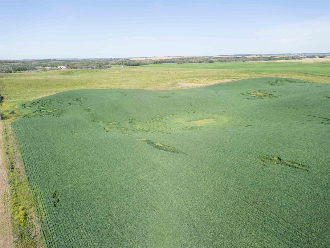 *EXPAND YOUR OPERATION*  GRAIN LAND FOR SALE!
farmmarketer.com/listing/fm/205…

Farm Type: Grain
Acreage (Total): 145 
Province: Alberta
Agent: Barry Reder

#Findyourdreamproperty #farmmarketer #grain #grainfarm #cultivatedland #cropland #oats #rye #wheat #lentils #canadarealestate