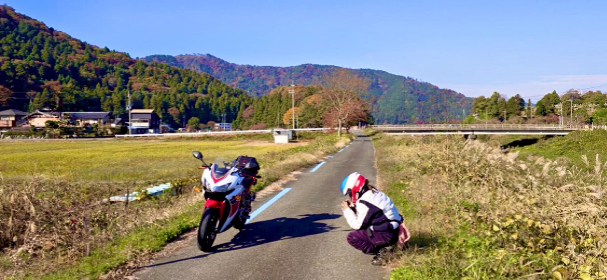 なつこ :p♡ 🐵🇫🇷🐎🟡四国一周制覇 (@7a2co) / Posts / X