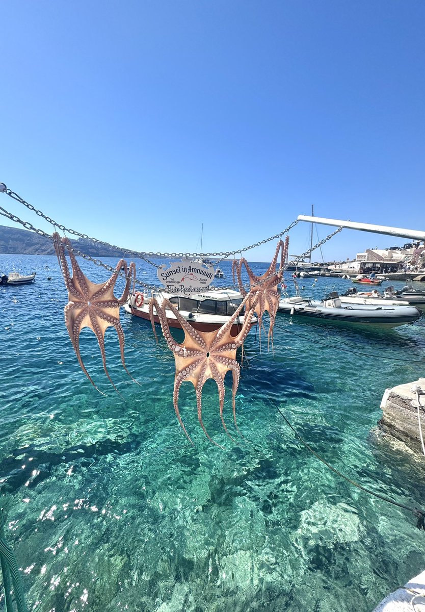 🅛🅤🅝🅘🅣🅐 luna🌛🌜 tweet media