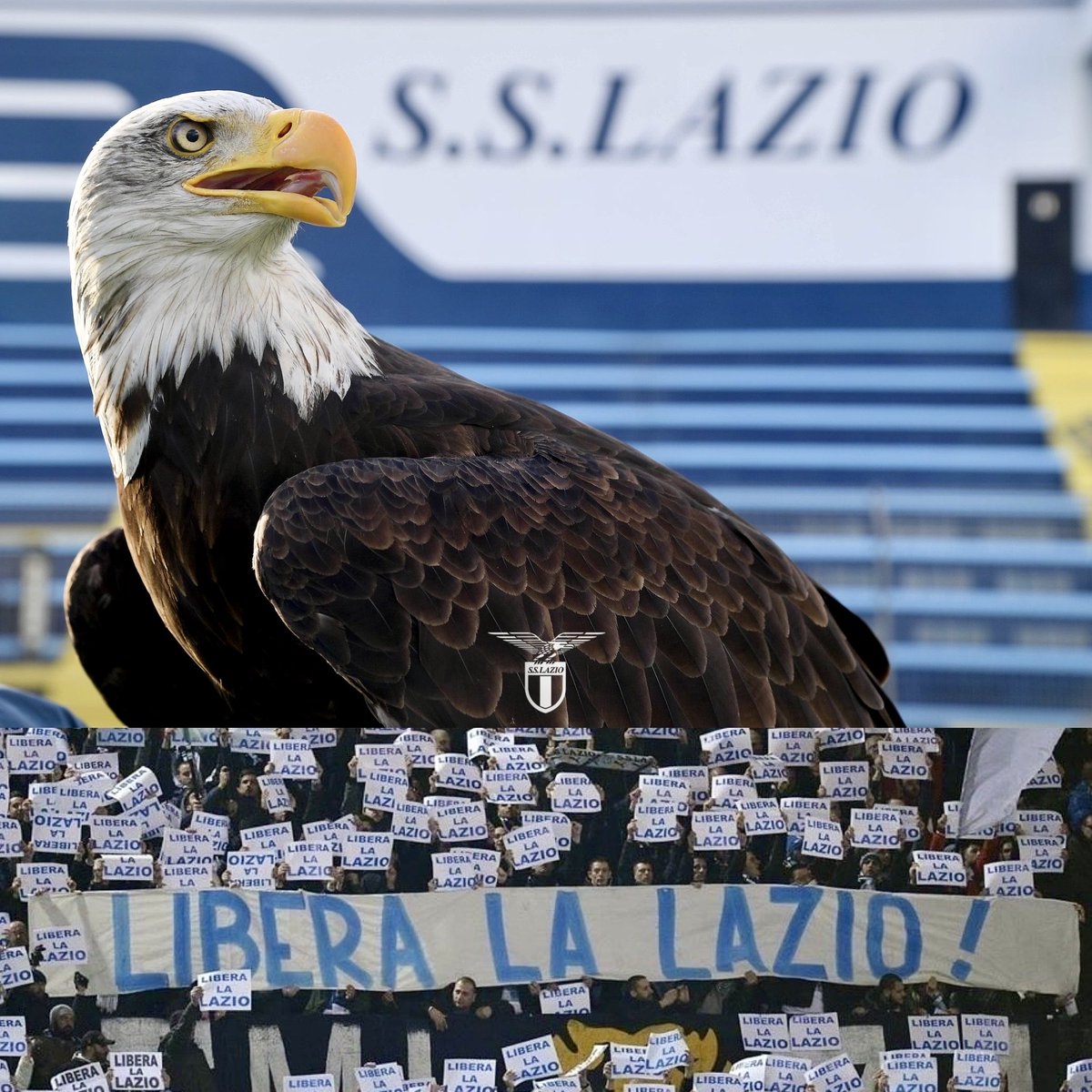 GiGiSSLazio's tweet image. Se pensi che una nuova (nuova?) aquila “rimpiazzata”, proprio ora, dopo quasi un anno di ritardo, possa farci cambiare in qualche modo idea, dimostri per l’ennesima volta di non aver capito un cazzo sul nostro Popolo.

Un Popolo che non si sposta di mezzo centimetro e a Lazio…