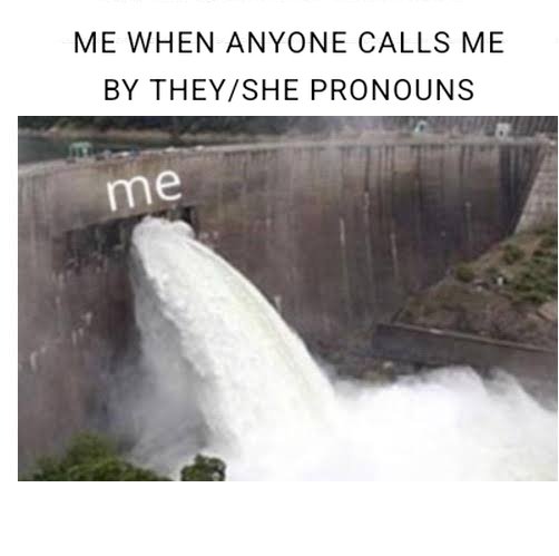 luarilazuli's tweet image. Sorry universe, I couldn&apos;t resist.........
#nonbinary #trans #transgender #theythem #sheher